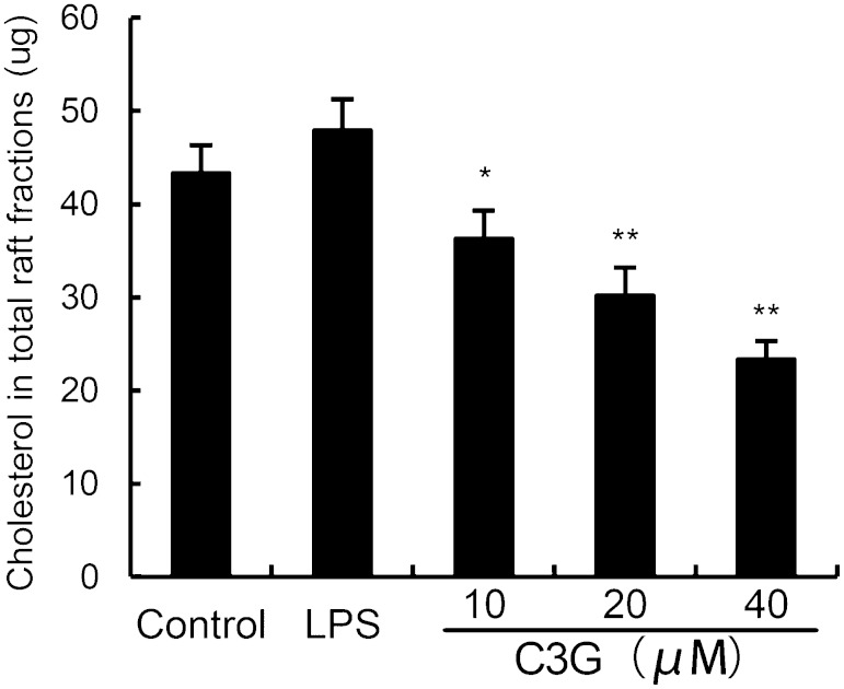 Fig. 9.