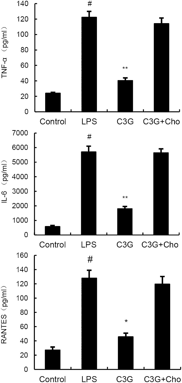 Fig. 10.