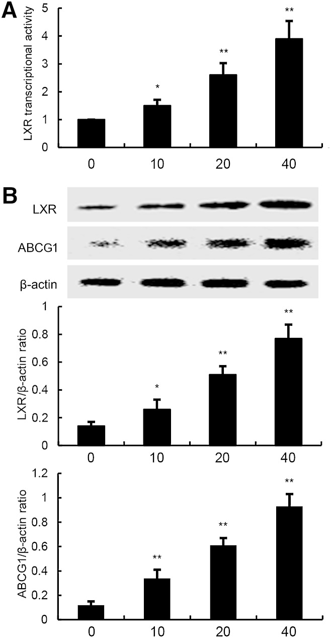 Fig. 11.