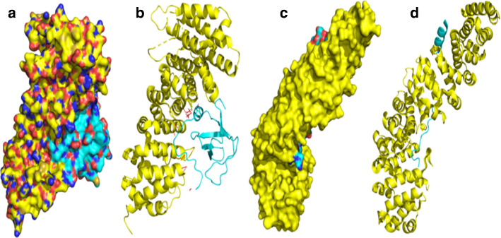 Fig. 12