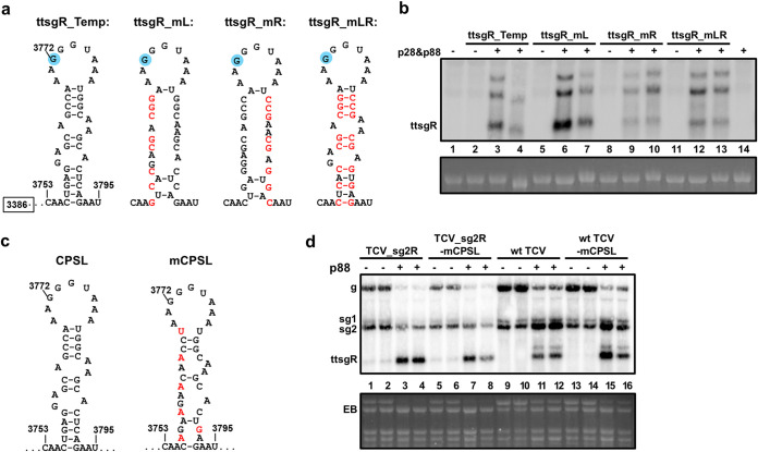 FIG 4