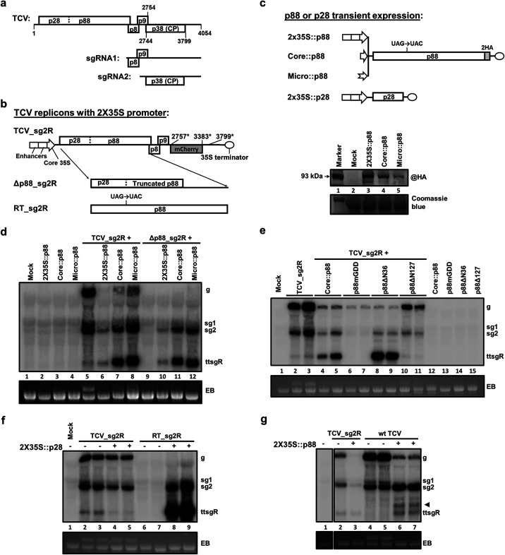 FIG 1