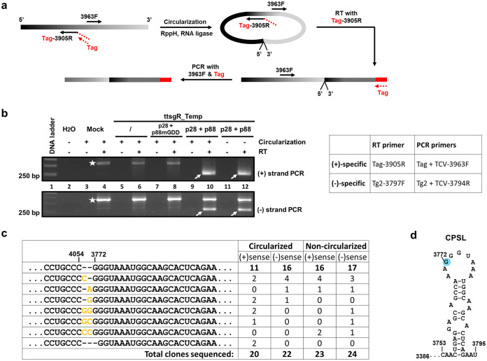 FIG 3