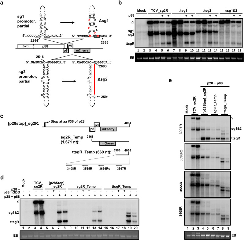 FIG 2