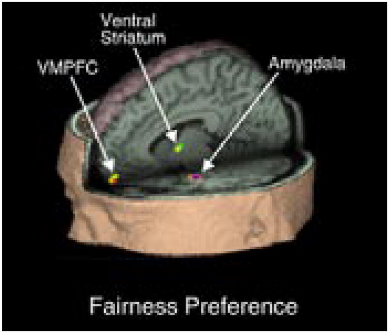 FIGURE 3