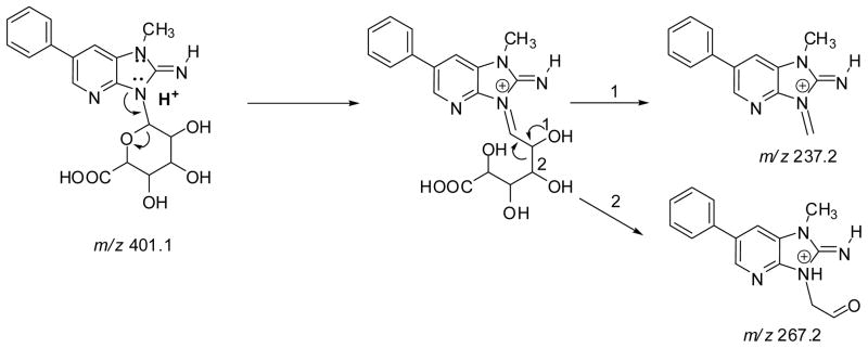 Scheme 2