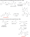 Scheme 8