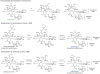 Scheme 6