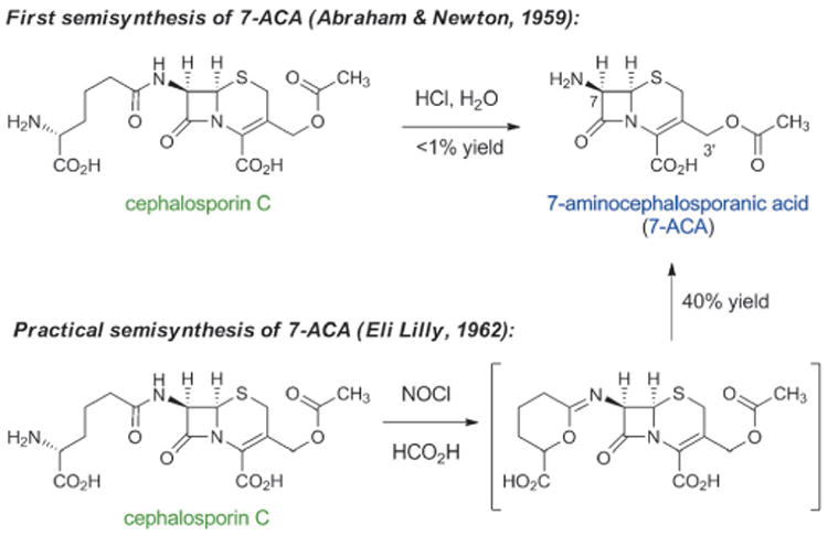 Scheme 4