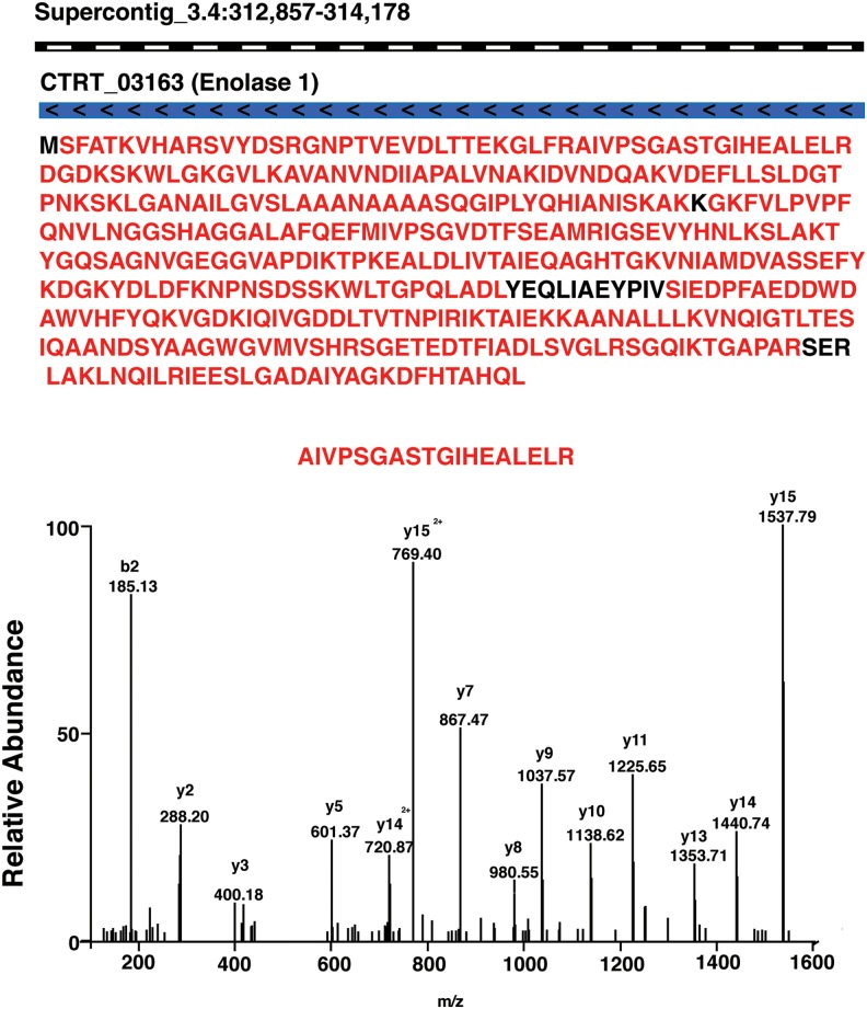 FIG. 2.