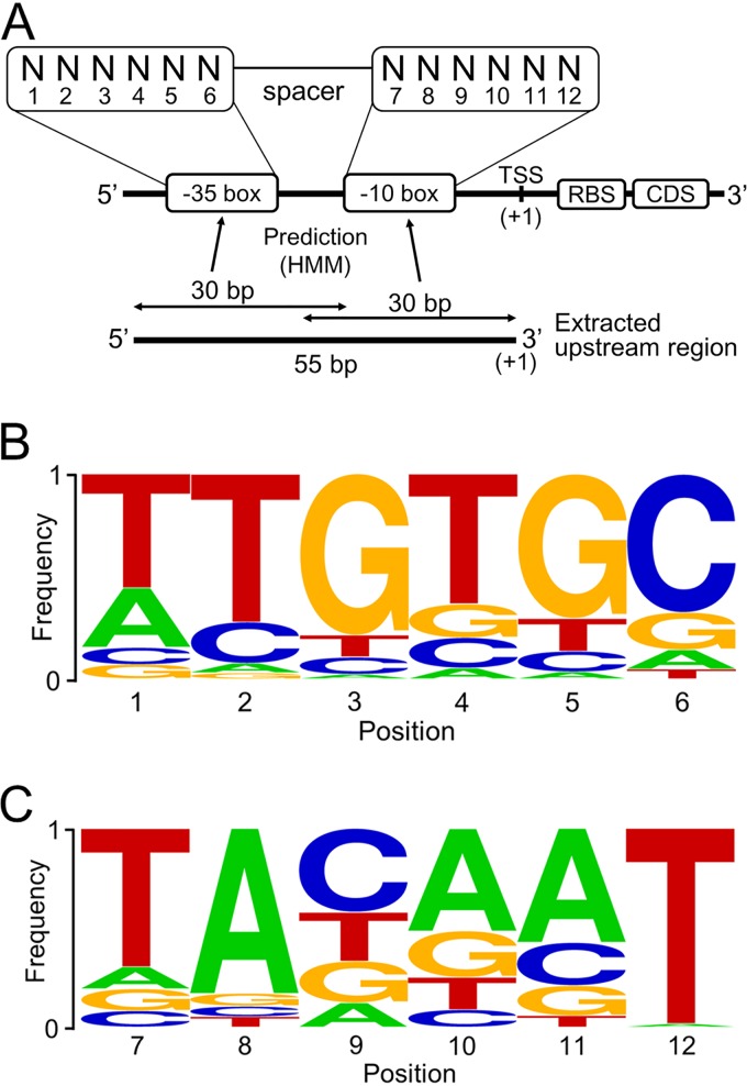 FIG 1