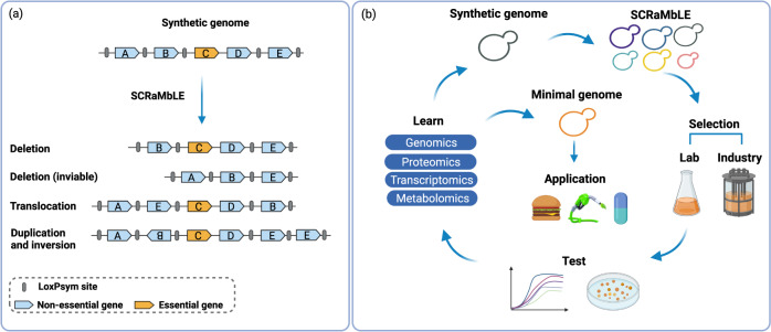 Fig. 4