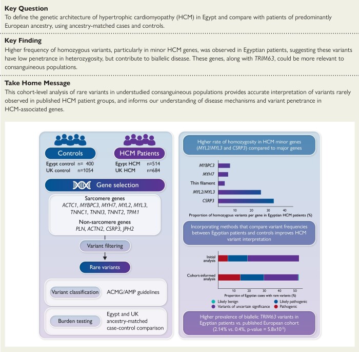 Structured Graphical Abstract