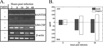 FIG. 6.