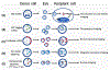 Fig-4: