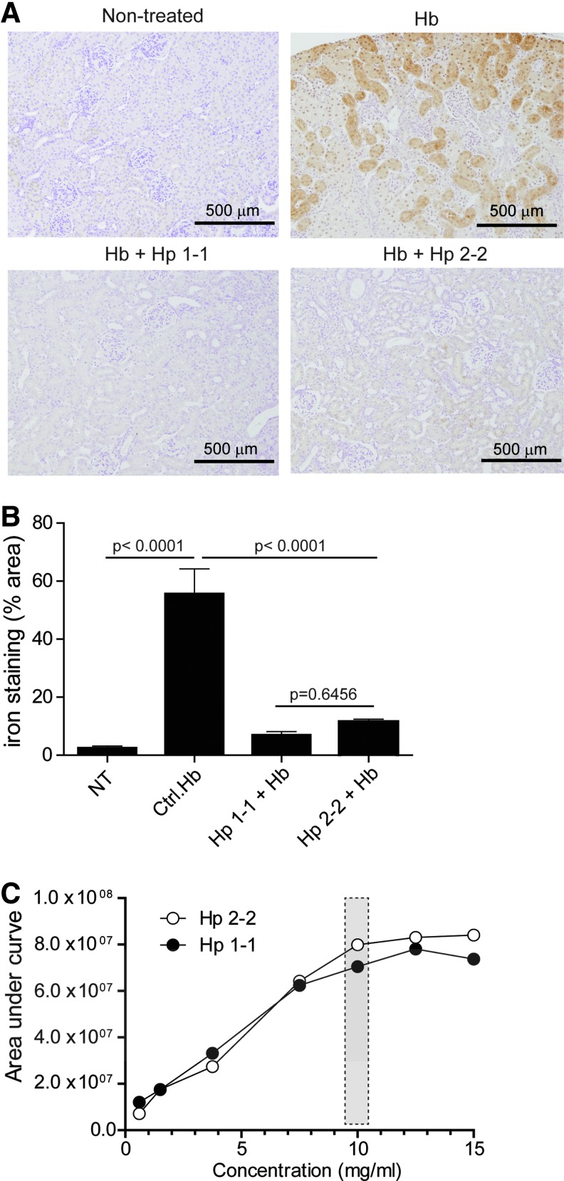 FIG. 6.