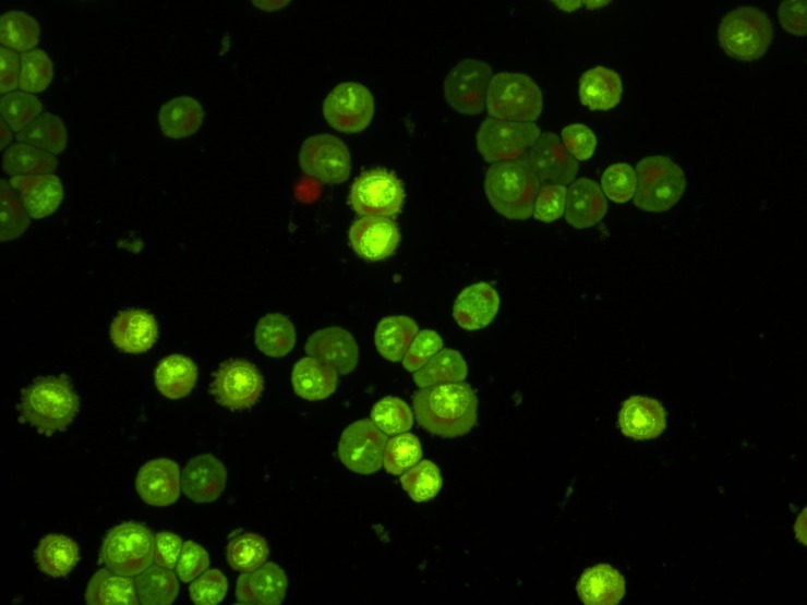 Figure 5:
