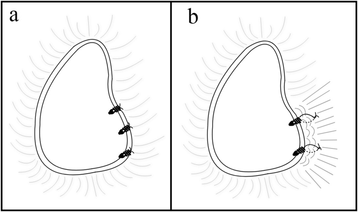 Fig. 1