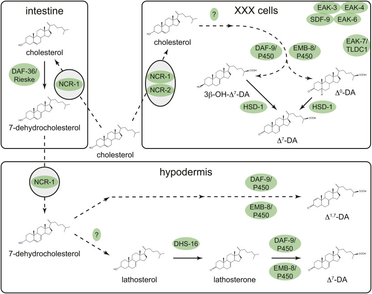 Figure 4