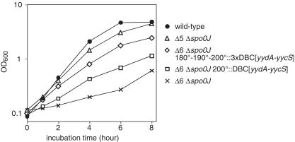 Figure 5.