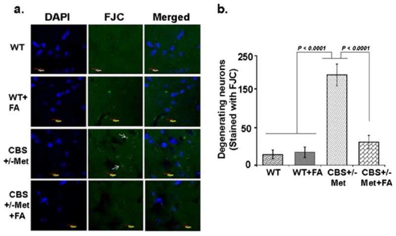 Fig 10