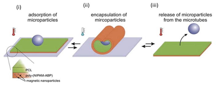 Fig. 13