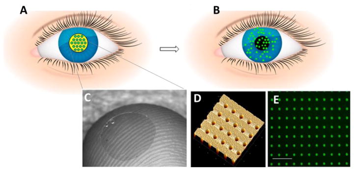 Fig. 18