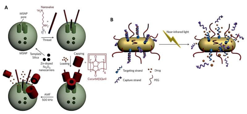 Fig. 14