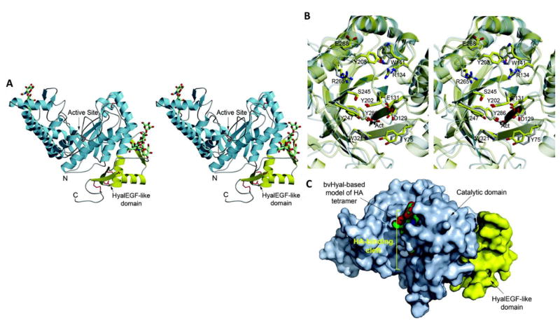 Fig. 8