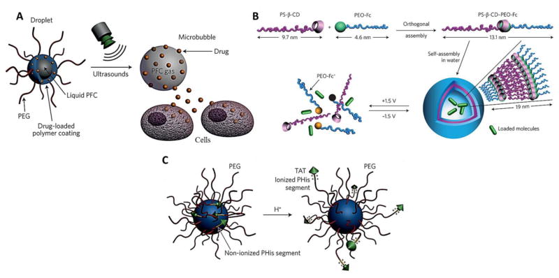 Fig. 16