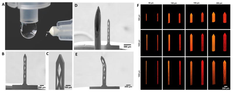 Fig. 20