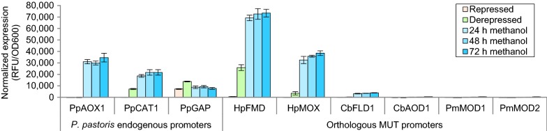 Fig. 1