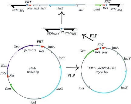 FIG. 4.