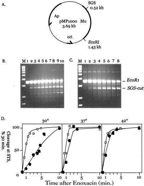 FIG. 2.