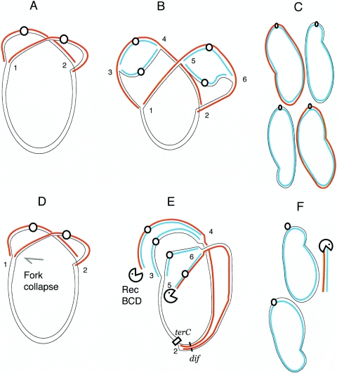 FIG. 5.