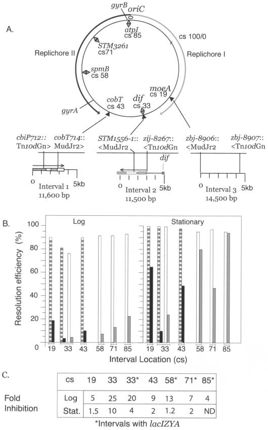 FIG.3.