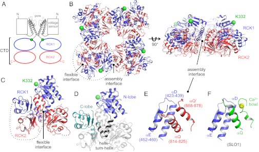 Fig. 3.