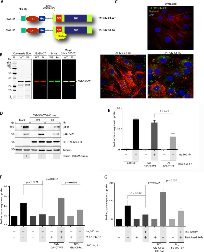 FIGURE 6: