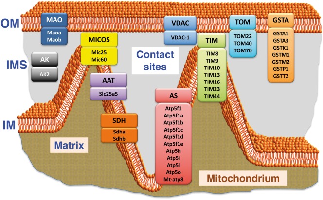 Figure 6: