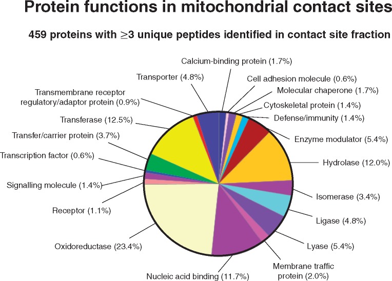 Figure 4: