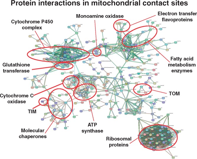 Figure 5: