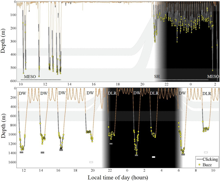 Fig. 3