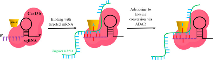 Fig. 7