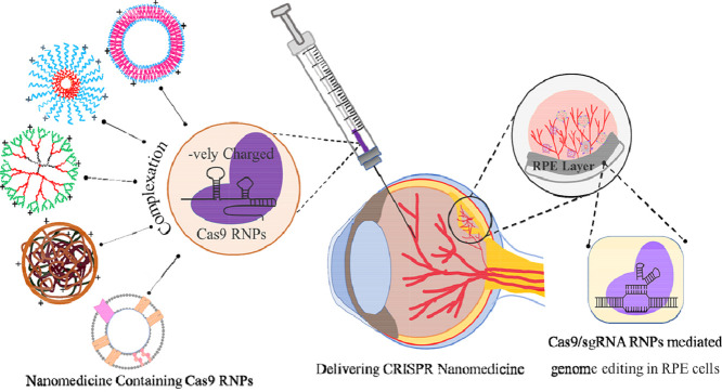 Image, graphical abstract