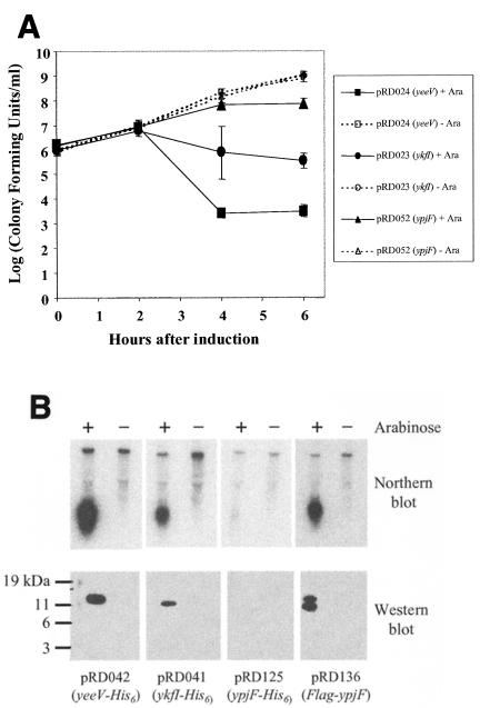 FIG. 4.