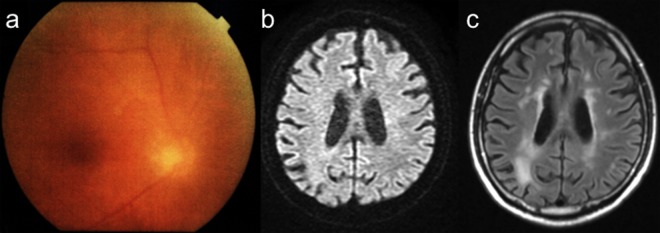 Figure 3