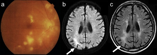 Figure 2