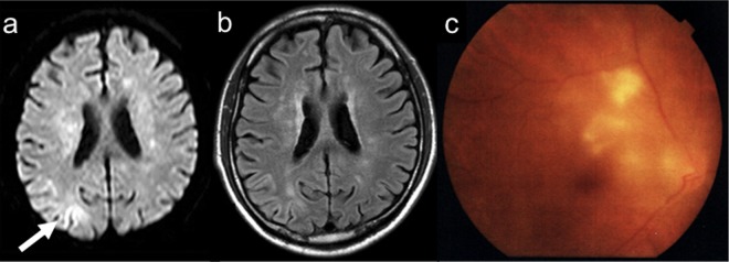 Figure 1