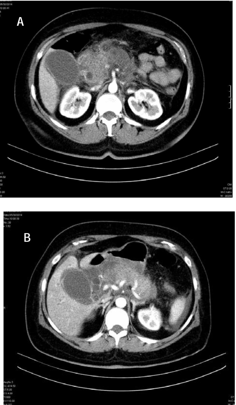 Fig. 5