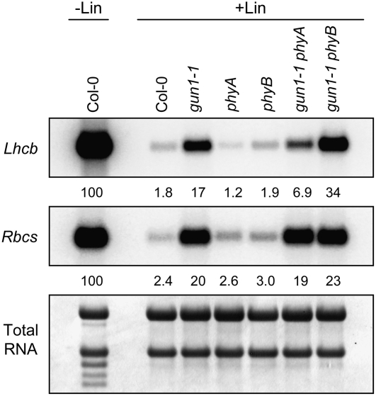 Figure 6.